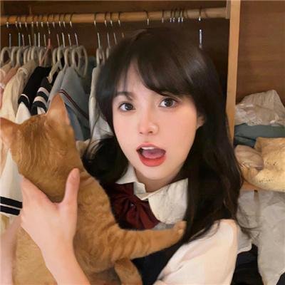 爱是一只猫